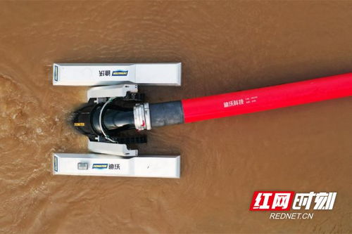 高端化與智能化 迪沃科技為工程機(jī)械展增添新活力