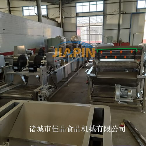 智能化凈菜加工設(shè)備 氣泡清洗、風(fēng)干、速凍一體化解決方案